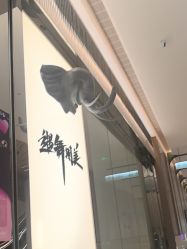 -YASAKI国际舞蹈中心