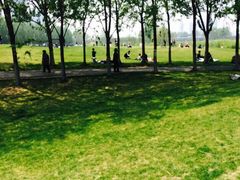 -长白岛森林公园