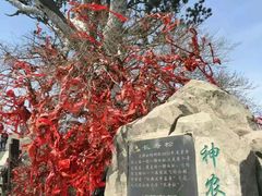 -神农山景区
