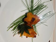 -觀芷隐轩