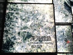 深海蝰鱼-同济大学四平路校区深海探索馆