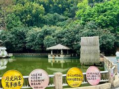 -广州市帽峰山景区