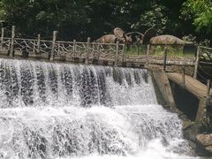 -太湖源风景区