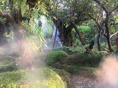 -Chom Cafe and Restaurant