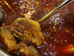 -肖肖酸萝卜鱼火锅(总店)