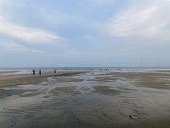 -老伙记海鲜码头(北滘店)