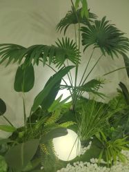 -HEYAN荷妍专业脱毛连锁机构