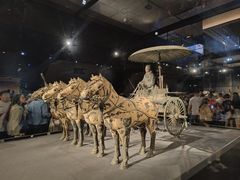 -秦始皇帝陵博物院-丽山园
