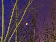 -济南方特东方神画