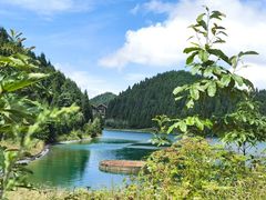-武陵山森林公园
