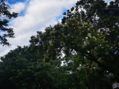 -香山公园