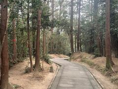 -窦圌山风景区