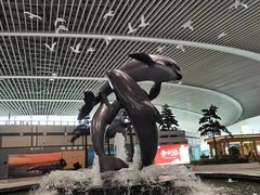 -青岛胶东国际机场