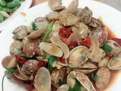 辣炒花蛤-杨氏青龙虾·羊蝎子(托乐嘉店)