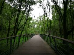 -西湖风景区-江洋畈生态公园