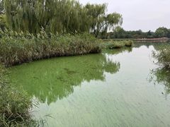 -燕郊植物园