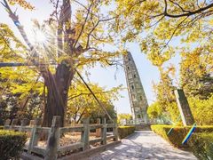 -上海佘山国家森林公园天马山园