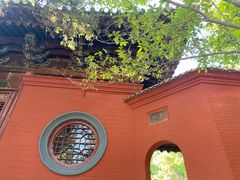 -洛阳白马寺
