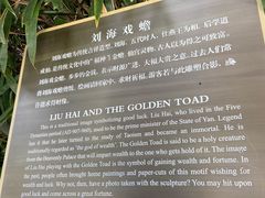 -杭州黄龙洞