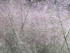 -苏州河梦清园环保主题公园