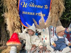 -HERRE·FARM 赫尔露营农场·团建聚会包场