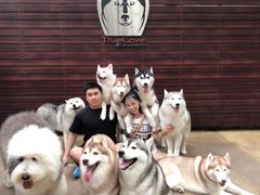 -TrueLove @ Neverland (Husky Cafe)