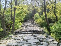 -北京鹫峰国家森林公园