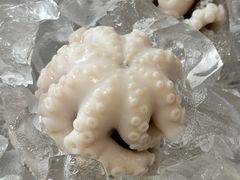 -铭聚章鱼土笋冻(松柏店)