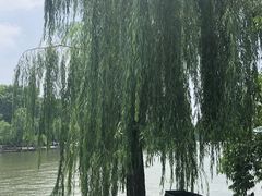 -西湖天地