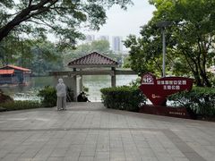 -荔湾湖公园