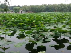 -长春市南湖公园