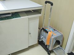 -宠福鑫动物医院(立水桥分院)