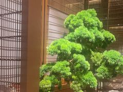 -牛村来人潮汕牛肉火锅(西单店)