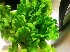 -古乐牛香·鲜牛肉牛杂火锅(新区店)