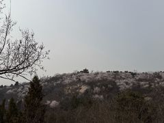 -白水寺森林公园