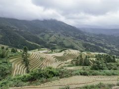 -龙脊梯田