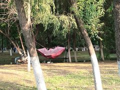 -长白岛森林公园