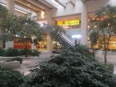 -仁恒美食庭苑(仁恒海河广场店)