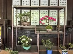 -秋霞圃