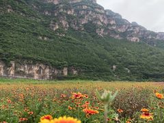 -孤山寨风景区
