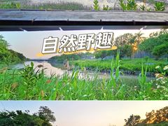 -福田红树林生态公园