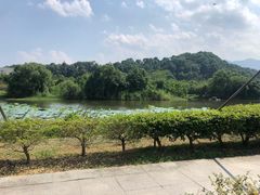 -福州大学(旗山校区)