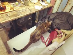 -小时光咖啡馆(开森度假森林店)