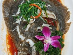 -小贝壳酒楼(经九路店)
