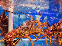 -好彩海鲜火锅饭店(银河百老汇店)