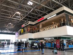 -米兰马尔彭萨国际机场