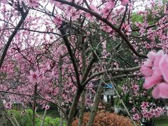 -食膳公园包子铺(烈士公园店)