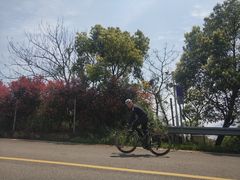 -GIANT捷安特自行车专卖店(金桥台儿庄路店)