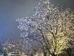 -上海电影博物馆