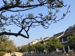 -南沙天后宫景区